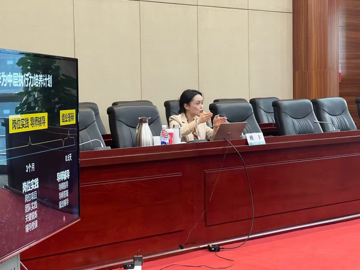 賴豐:國家電網-人才激勵與人才隊伍建設培訓