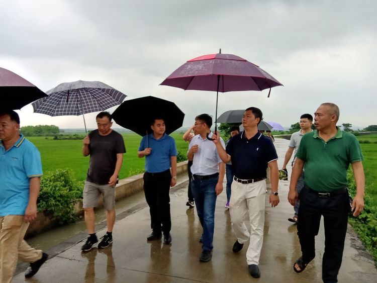 北京師范大學環境學院教授、博士生導師、濕地專家崔保山蒞臨海口調研濕地保護修復與合理利用工作